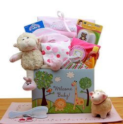 Welcome New Baby Pink Gift Box