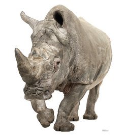 White Rhinoceros Cardboard Cutout