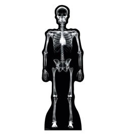 X-Ray Skeleton Cardboard Cutout