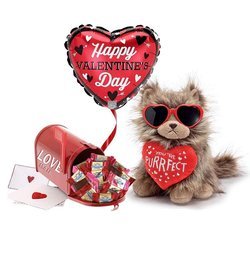 You're Purrrfect Valentine Plush And Chocolate Gift Set