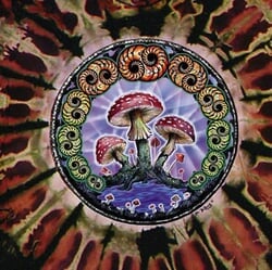 Click to get Mushroom Flower Mystical Adult Unisex Tie Dye Tshirt Tee Shirt
