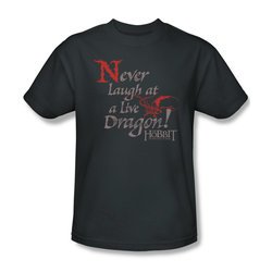 The Hobbit Desolation Of Smaug Shirt Never Laugh Adult Charcoal Tee T-Shirt