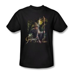 The Hobbit Desolation Of Smaug Shirt Sword And Staff Adult Black Tee T-Shirt
